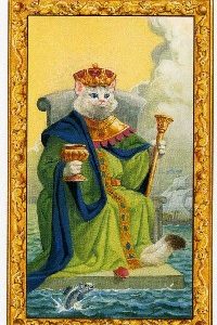 King of Chalices – ราชาแมวแห่งถ้วย